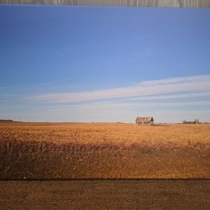 Landscape Canvas Art with Blue Sky and Golden Field 16x24